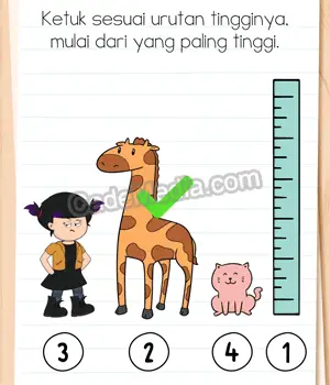 Kunci Jawaban Brain Test 4 Level 142