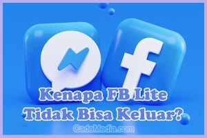 Cara Mengatasi Tidak Bisa Keluar dari Akun FB Lite