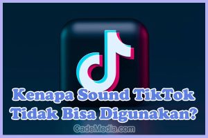 Penyebab Kenapa Sound TikTok Tidak Bisa Digunakan dan Cara Mengatasinya