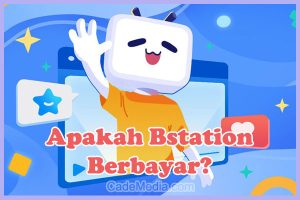 Penjelasan Apakah Bstation Berbayar (Premium) atau Gratis (Free)