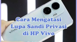 Cara Mengatasi Lupa Kata Sandi Privasi dan Enkripsi HP Vivo Y20, Y91, Y91C, Y12, Y15