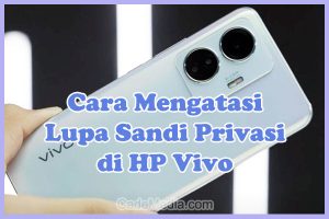 Cara Mengatasi Lupa Kata Sandi Privasi dan Enkripsi HP Vivo Y20, Y91, Y91C, Y12, Y15