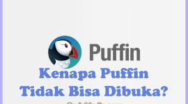 Penyebab Kenapa Puffin Browser Tidak Bisa Dibuka dan Cara Mengatasinya