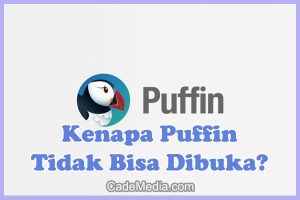 Penyebab Kenapa Puffin Browser Tidak Bisa Dibuka dan Cara Mengatasinya