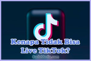 Penyebab Kenapa Tidak Bisa Live di TikTok Padahal Followers Banyak dan Solusi Cara Mengatasinya