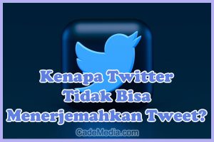 Penyebab Kenapa Twitter Tidak Bisa Menerjemahkan Tweet dan Cara Mengatasinya