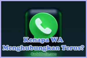 Penyebab Kenapa WhatsApp Menghubungkan Terus padahal Sinyal Bagus dan Cara Mengatasinya