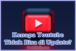 Penyebab Kenapa Youtube Tidak Bisa di Update di Play Store dan Solusi Cara Mengatasinya