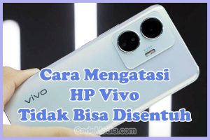 Penyebab dan Cara Mengatasi HP Vivo Tidak Bisa Disentuh