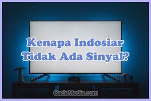 Penyebab Kenapa Indosiar Tidak Ada Sinyal di TV Digital (Set Top Box) dan Solusi Cara Mengatasinya