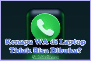 Penyebab Kenapa WhatsApp Web Tidak Bisa Dibuka di Laptop dan Solusi Cara Mengatasinya