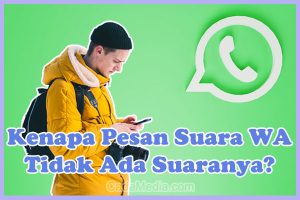 Penyebab Kenapa Pesan Suara (VN) di WA Tidak Ada Suaranya (Tidak Terdengar) dan Cara Mengatasinya