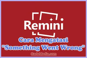 Cara Mengatasi Remini Error "Something Went Wrong" di HP Android dan iPhone (iOS)