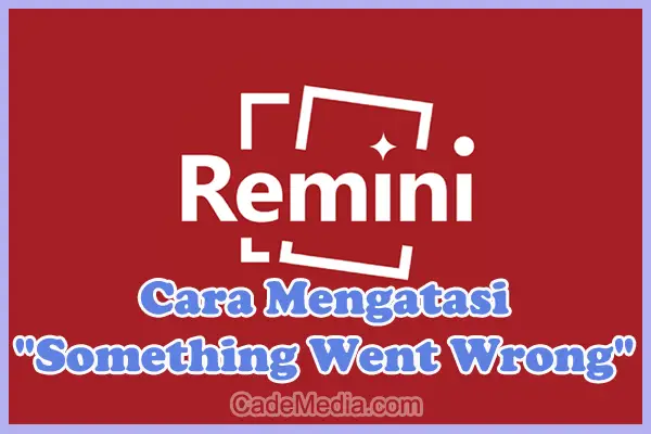 Cara Mengatasi Remini Error "Something Went Wrong" di HP Android dan iPhone (iOS)