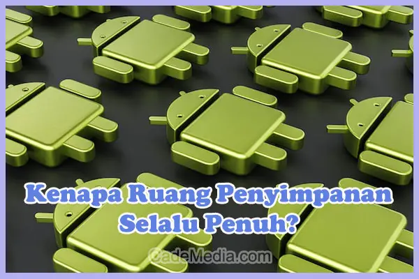 Penyebab Kenapa Ruang Penyimpanan Selalu Penuh Padahal Aplikasi Sedikit dan Cara Mengatasinya