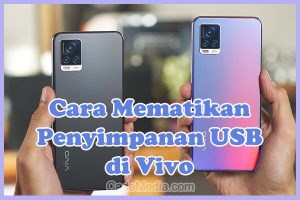 Cara Mematikan Penyimpanan USB di HP Vivo Y12, Y22, Y15