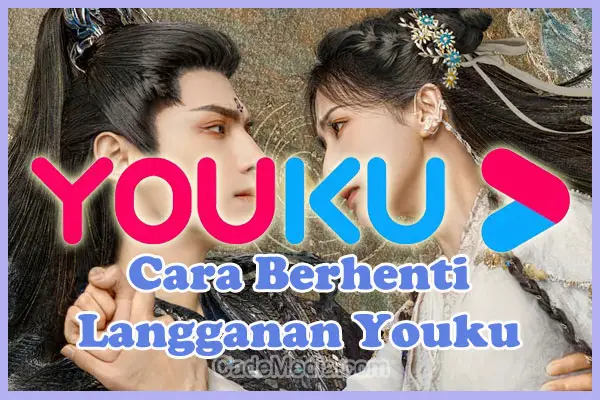 Cara Berhenti Langganan Youku Premium (VIP)