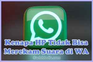 Penyebab Kenapa HP Tidak Bisa Merekam Suara di WhatsApp dan Cara Mengatasinya