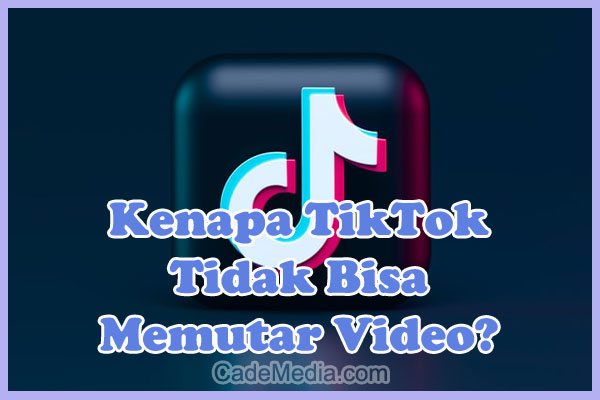 Penyebab Kenapa TikTok Tidak Bisa Memutar Video dan Cara Mengatasinya