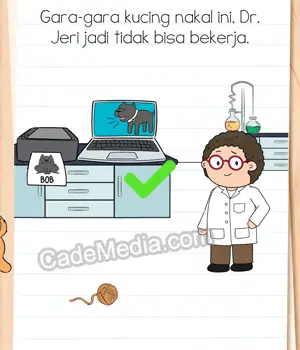 Kunci Jawaban Brain Test 4 Level 234