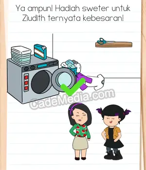 Kunci Jawaban Brain Test 4 Level 291