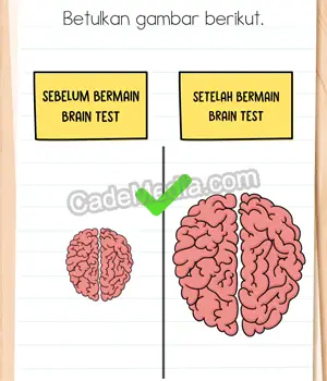 Kunci Jawaban Brain Test 4 Level 298